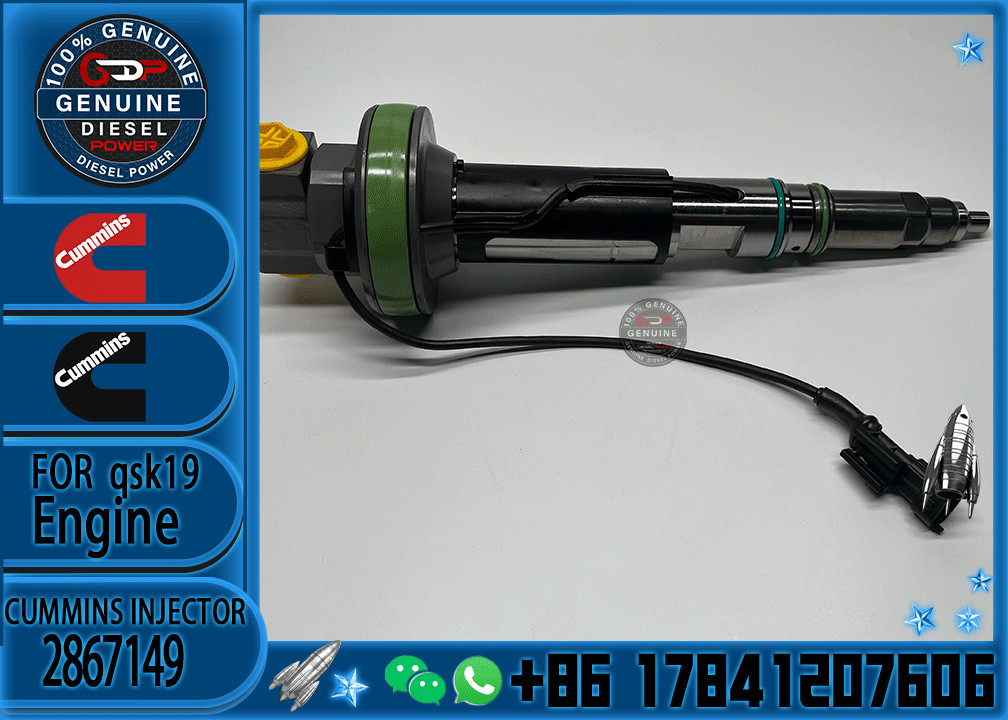 parts QSK19 QSK50 QSK60 Diesel Fuel Injector 2882079 4964172 4964170 4955524 2867148 2867149 4964171