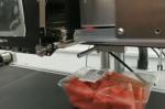 Provided Scale Sticker Labeling Machine for Fresh E-commerce Fruits and