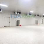 12 Celcius Walk in Freezer Chiller/Cool/Cold Storage Room Warehouse for Fresh