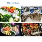 Full Automatic 25T/H Freshwater Flake Ice Machine 380V