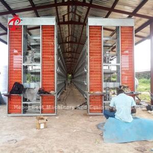 Quality A H type Automatic Layer Poultry Equipment Breeder Chicken Cage System Sandy wholesale