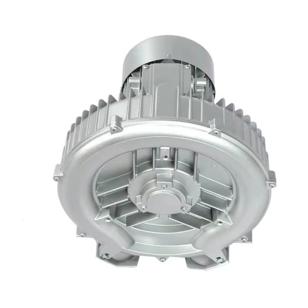 Factory Wholesale 0.2KW Single Stage Side Channel Blower Air Pump Fish Farming
