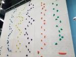 XL Size Climbing Holds for Indoor and Outdoor Bouldering Training Facilities