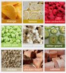 Commercial Freeze Drying Machine with 1400*1000mm Tray Size in Meat Processing