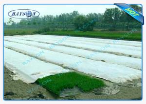 Quality UV Protection 100% Polypropylene Landscape Fabric , Maximun Width 25.6m wholesale