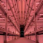 Ventilation fan 40ft Container Greenhouse for Advanced Plant Growth