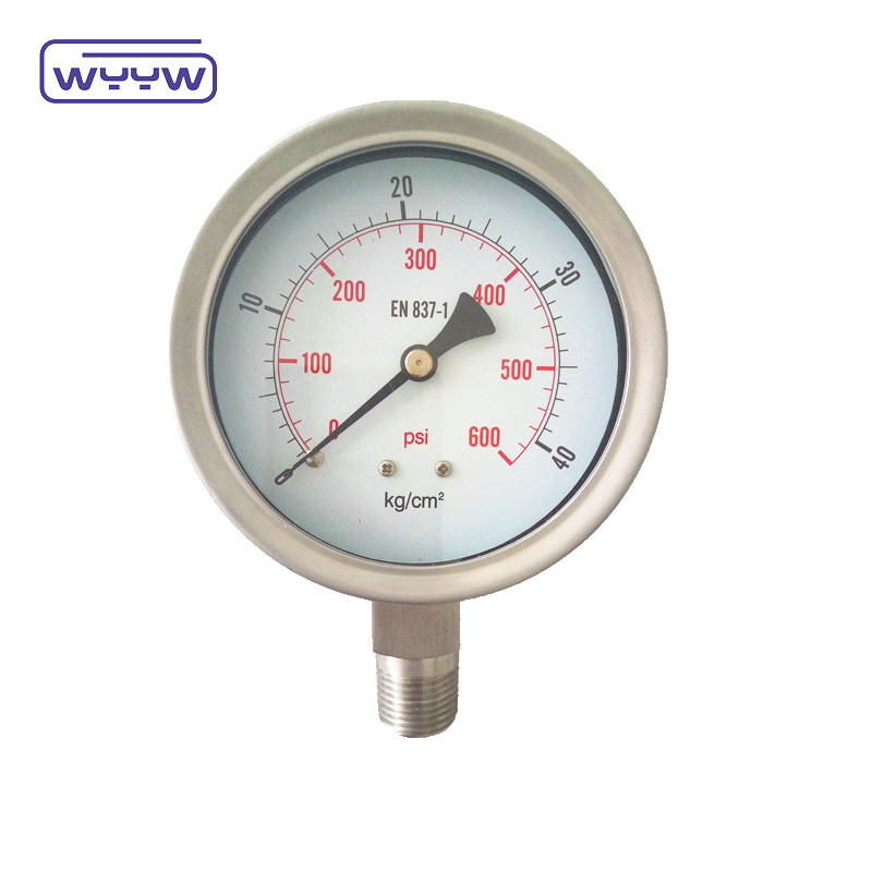 Customizable Stainless Steel Bourton Tube Gauge Filled with Liquid Pressure Bottom Mount