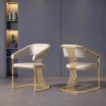 Modern Minimalist Luxury Dining Chair Stainless Steel Leisure Facilities