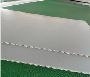 Quality Plastic Sheet PP Hollow Sheet Twin Wall Corrugated Core Fluted Advertisement Printing wholesale
