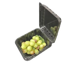 Quality Strawberry Plastic Packaging Boxes PET Clamshell Containers wholesale