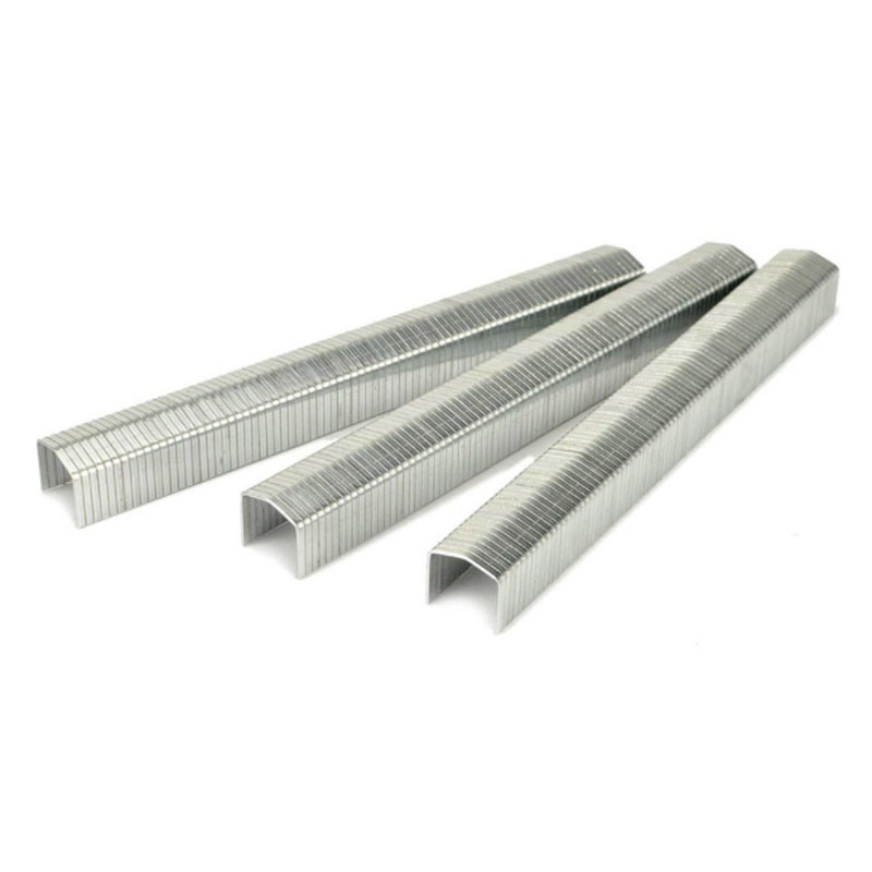 Stcr5019 Series 20 Gauge 11.60mm Crown 10mm Furniture Staple