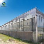 Layer Commercial Garden Clear 12m Flower PC Sheet Greenhouse