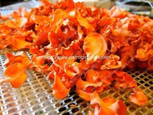 Quality Full Automatic Dehydrated Carrot Chips Production Line wholesale
