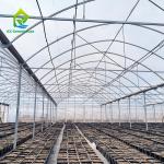 Durable Agriculture UV Resistant Plastic Film Greenhouse Equipment For