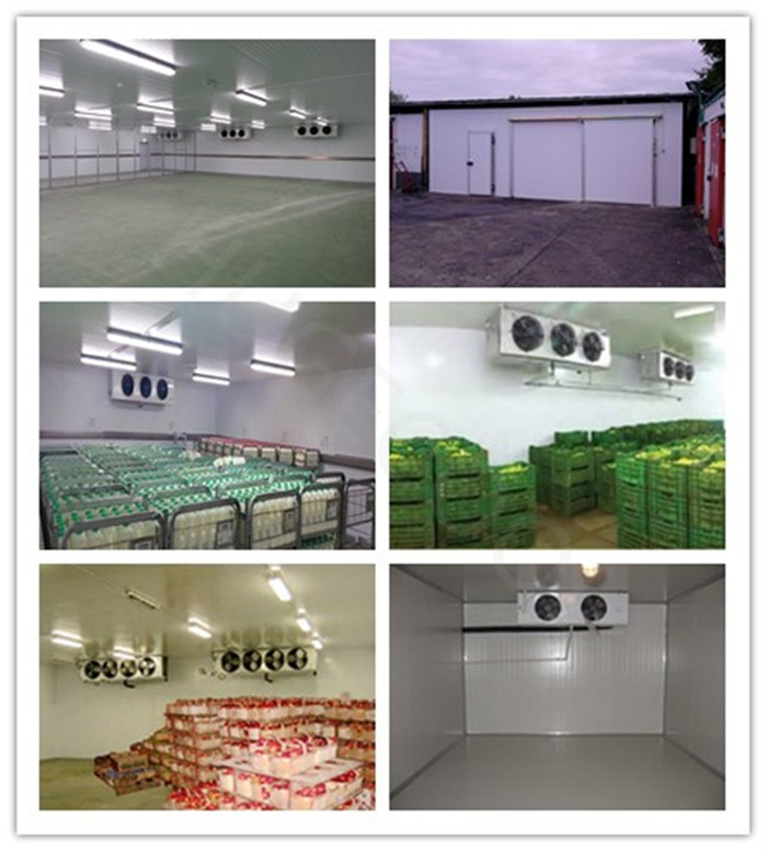 Meat Sliding Door Cold Room 220V/380V Voltage With 12 Months Warranty