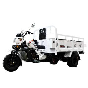 Quality DAYANG Chongqing Gas Engine Water-Cooled Tricycle Truck for Africa Market 3 Wheels wholesale