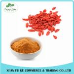 Hot Selling New Fresh Organic Dried Fruit Chinese Goji Berries