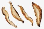 500g Food Family Pack Dried Sliced Shiitake Mushrooms MOQ5CTN