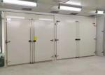 Digital Display ISO9000 17KW Industrial Vacuum Drying Oven