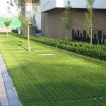 Green HDPE Permeable Paving Grids for Easy Ground Packing Lot Driveway
