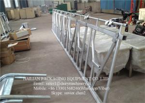 Quality Cattle crush Head Lock Farm Equipment Hot-galvanized Steel Pipe wholesale