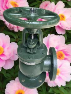 Quality ANSI angle valve wholesale