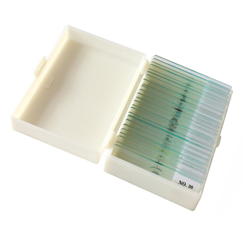 30Pcs Plant Animal Histology Prepared Microscope Slides