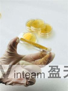 Quality Chemical Deep Petri Dish , Borosilicate Petri Dish Convenient Bottom Grid wholesale