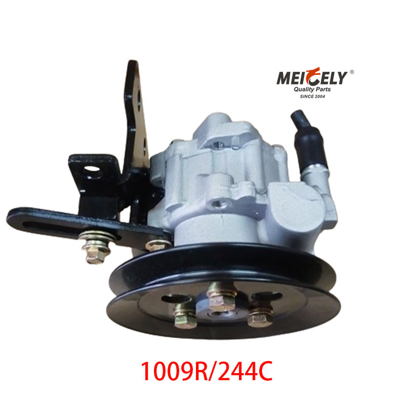1009R/244C JAC Foton Dongfeng Yunnei Power Steering Pump