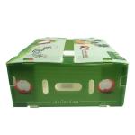 Corflute Correx Corn Broccoli And Agriculture Packing Waterproof Corrosion