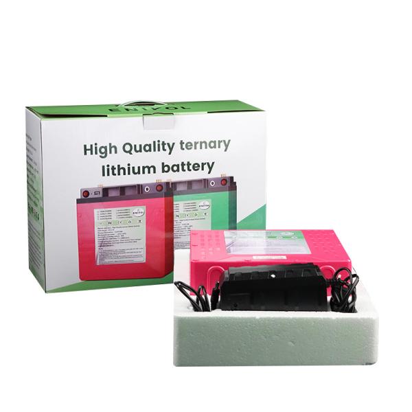 Portable 12V Lithium Battery 30ah 50ah 80ah 100ah Solar Power Battery Pack For