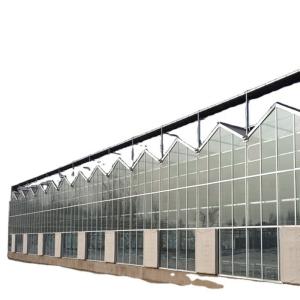 Quality Large Glass Greenhouse Mushroom Aeroponic Tower Garden for Eco Restaurant Instruction wholesale
