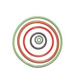 Heat Resistance Fkm O Ring Oil Seal , Rubber O Ring Gasket Seal