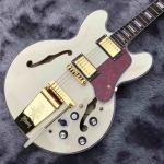 Double F-Holes Hollow Body Jazz Electric Guitar Ebony Fretboard Tremolo System
