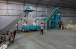 Animal Dung / Horse Manure / Cow Dung Wood Pellet Maker Machine 5T/H Capacity