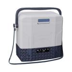 DC Portable Refrigerator For Outdoor/Picnic Small Liters Mini Car Cooler 12v