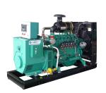 Sustainable Methane Generator Open Type Biogas Generator 150kVA