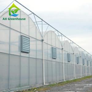 Quality Intelligent Film Serre Invernadero Greenhouse Multispan Tomato Greenhouse Structure wholesale