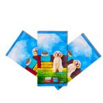 Plastic Animal Feed bag, aluminium foil bag, back seal bag for pet food