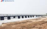 Customized Piggery Shed Steel Structure Animal Husbandry Green House