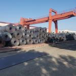 Prepainted Galvanized Hot Rolled Coil Plate / S235JR Steel Plate