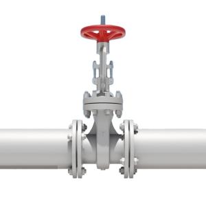 Quality Double Flange Swing Stainless Steel Gate Check Valve for Pn16 Cast Iron Ductile Iron wholesale