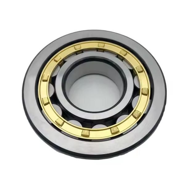 Direct Manufacturer's Quality Guaranteed Single Row Cylindrical Roller Bearing