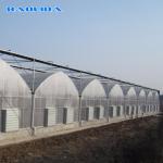 Prefabricated Tunnel Plastic Film Multispan Greenhouse Plastic Film Greenhouse