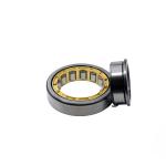 NJ205 C3 Cylindrical Needle Roller Bearing Nj205 25x52x15mm