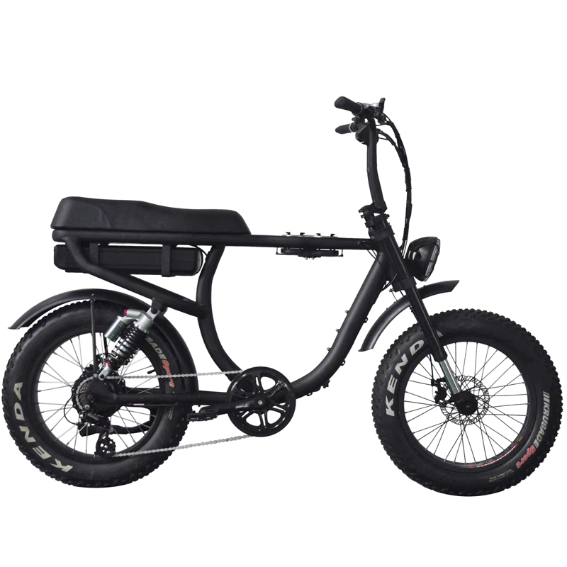 1000W Dual Battery Step Through Electric Retro Motorcycle Fat Bike with 80-90 Nm Torque