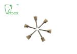 White Bristle Brush Dental Polishing Kit Teeth Polishing Brush
