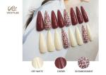 Long Stiletto Ballerina Coffin Shape DIY Fake Nails Fashion Trend