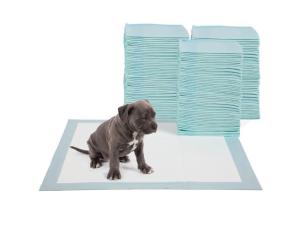 Quality Pet Supplies Potty Training Pads Disposable For Puppy and Dog wholesale