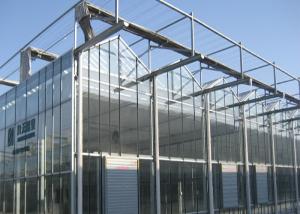 Quality Sided Ventilated Cooling Pad Multi Span Greenhouse wholesale